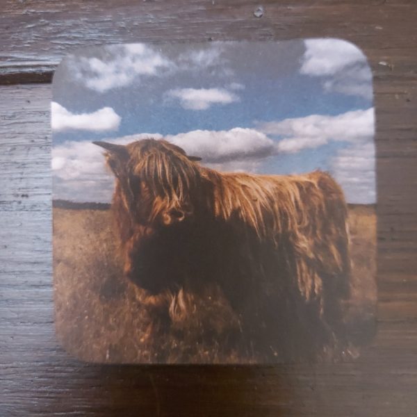Onderzetter van viltkarton met de afbeelding van een Schotse Hooglander op de heide.