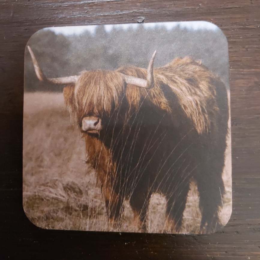 Onderzetter van viltkarton met de afbeelding van een Schotse Hooglander in het veld. Dubbelzijdig bedrukt.
