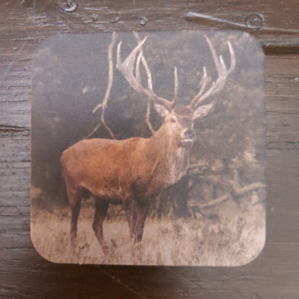 Onderzetter van viltkarton met de afbeelding van een hert met gewei op de Hoge Veluwe.