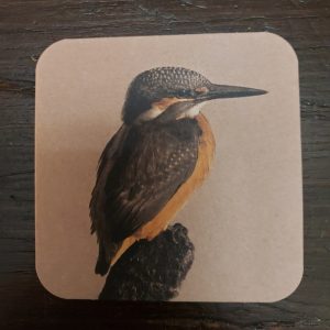 Onderzetter van viltkarton met de afbeelding van een ijsvogel. Dubbelzijdig bedrukt.