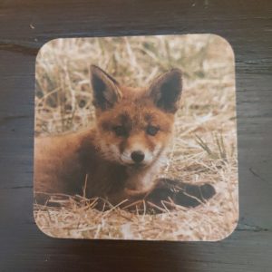 Onderzetter van viltkarton met de afbeelding van een jonge vos. Dubbelzijdig bedrukt.