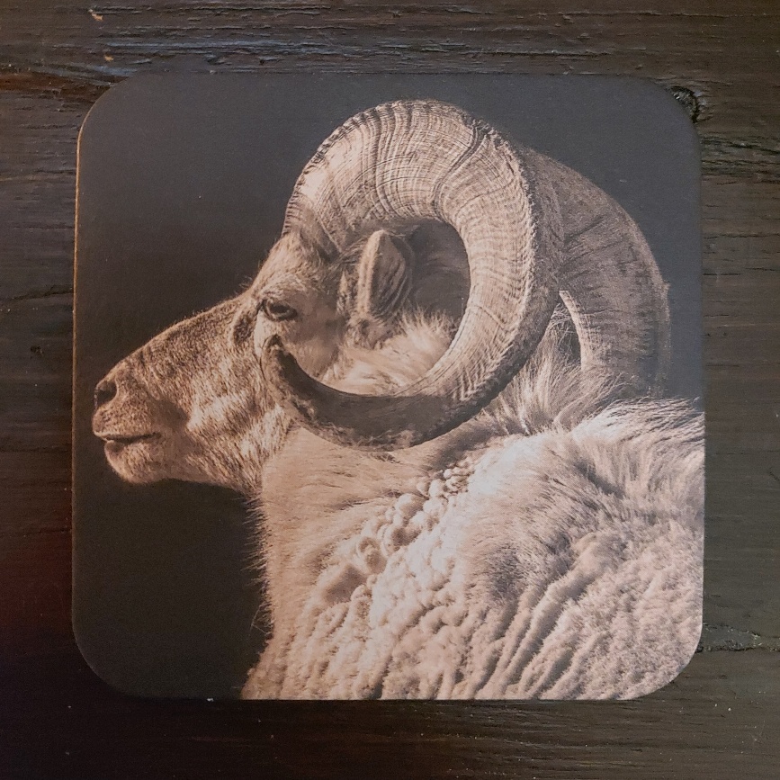 Onderzetter van viltkarton met de afbeelding van een ram.