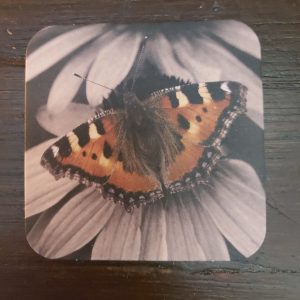 Onderzetter van viltkarton met de afbeelding van een vlinder.