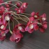 Kornoelje zijdenbloem met bordeaux rode bloemen, van het merk Brynxz.
