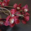 Kornoelje zijdenbloem met bordeaux rode bloemen, van het merk Brynxz.