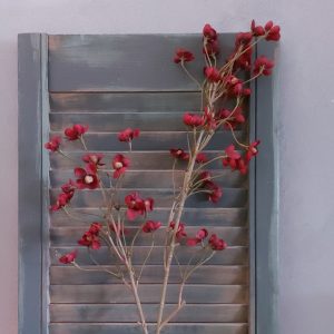 Kornoelje zijdenbloem met bordeaux rode bloemen, van het merk Brynxz.