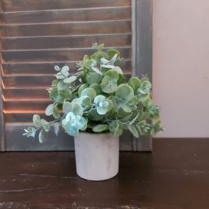 Bloempotje van aardewerk gevuld met een eucalyptusplant, van het merk Mansion Atmosphere.