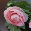 Tak met acht roze zijden pioenrozen van het merk Brynxz.