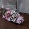 Pluimhortensia zijdenbloem in een diepe paarse kleur, van het merk Countryfield.