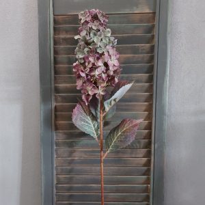 Pluimhortensia zijdenbloem in een diepe paarse kleur, van het merk Countryfield.