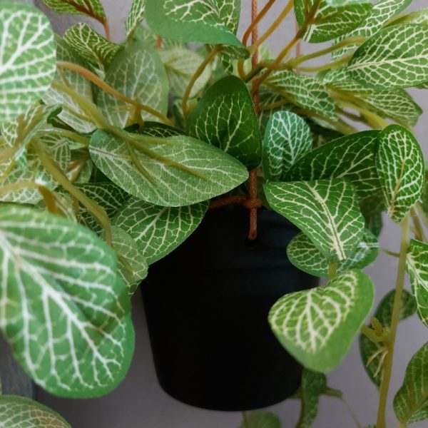 Peperomia kunstplant in een hang pot van het merk Countryfield.