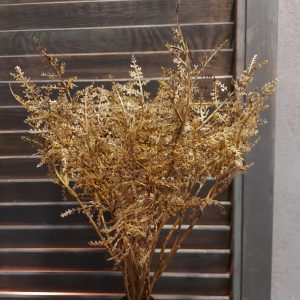 Bosje met vijf bruine Asparagus takjes van het merk Countryfield.