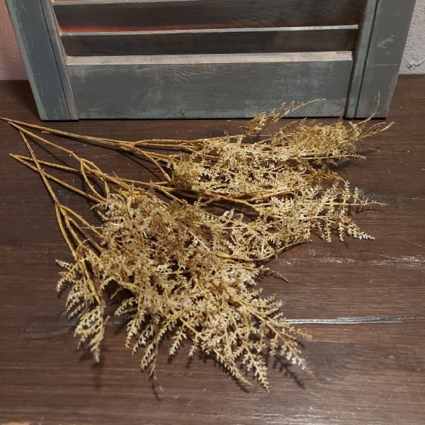 Bosje met vijf bruine Asparagus takjes van het merk Countryfield.