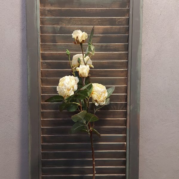 Rozentak met 5 bloeiende rozen in een crème witte kleur, van het merk Brynxz.