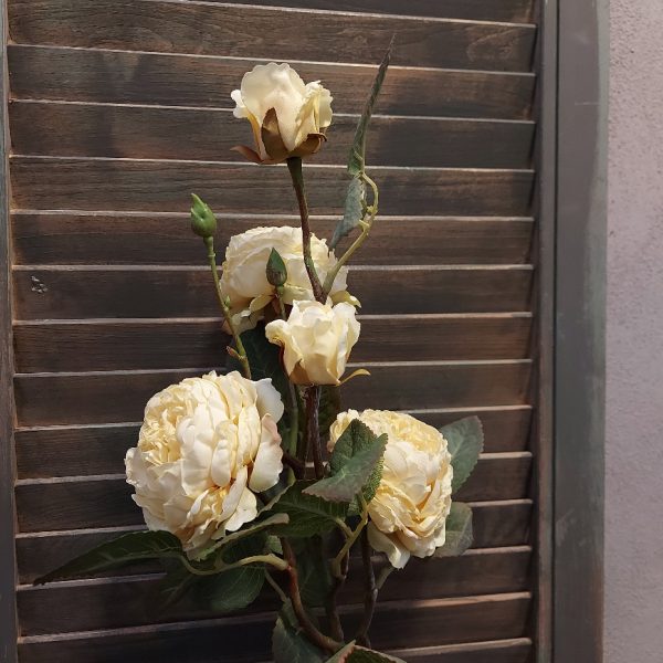 Rozentak met 5 bloeiende rozen in een crème witte kleur, van het merk Brynxz.