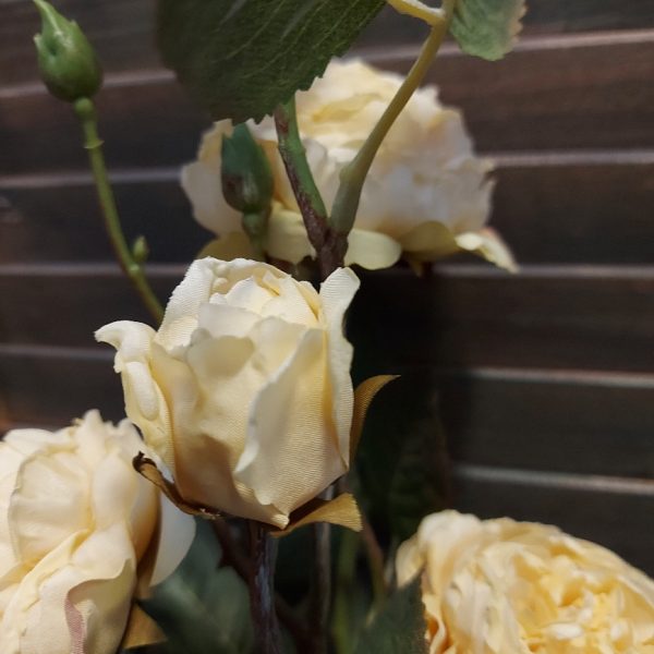 Rozentak met 5 bloeiende rozen in een crème witte kleur, van het merk Brynxz.