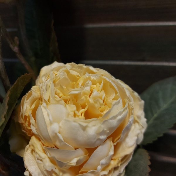 Rozentak met 5 bloeiende rozen in een crème witte kleur, van het merk Brynxz.