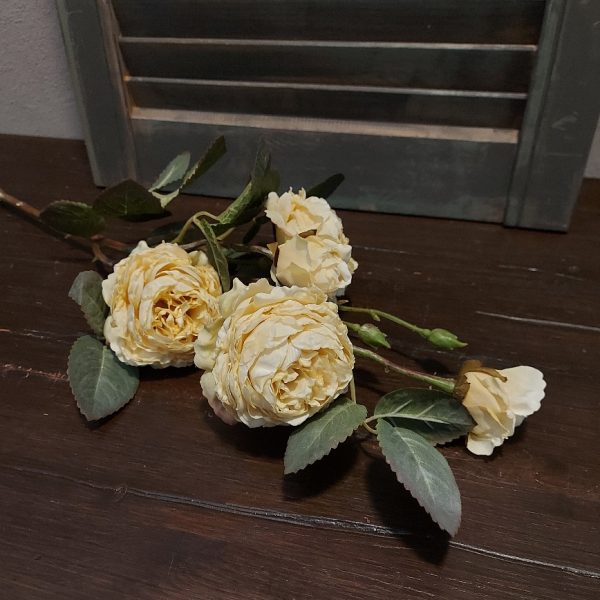 Rozentak met 5 bloeiende rozen in een crème witte kleur, van het merk Brynxz.