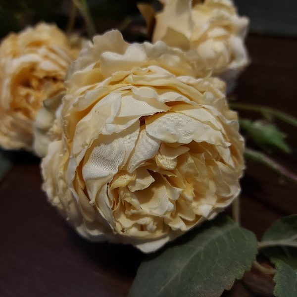 Rozentak met 5 bloeiende rozen in een crème witte kleur, van het merk Brynxz.