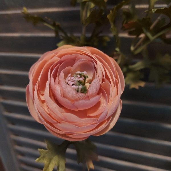 Anemoon zijdenbloem in een oudroze kleur, met 5 bloeiende bloemen, van het merk Brynxz.