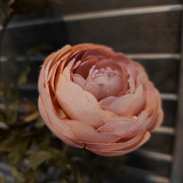 Anemoon zijdenbloem in een oudroze kleur, met 5 bloeiende bloemen, van het merk Brynxz.