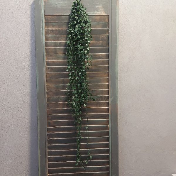 Meuhlenbeckia hangplant met donkergroene blaadjes en een lengte van ongeveer 80 cm, van het merk Brynxz.