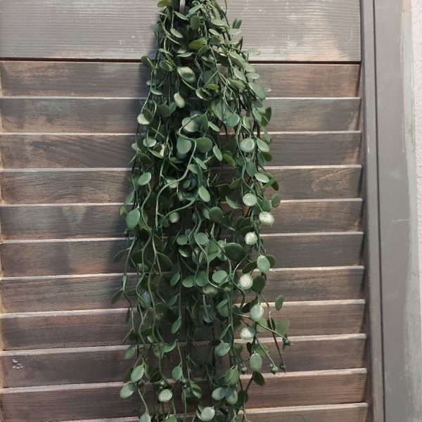 Meuhlenbeckia hangplant met donkergroene blaadjes en een lengte van ongeveer 80 cm, van het merk Brynxz.