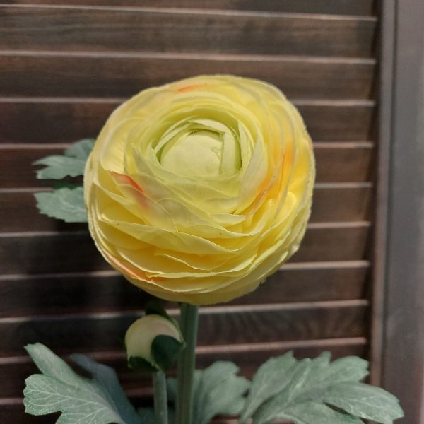 Ranonkel zijdenbloem in een zacht gele kleur, van het merk Mansion Atmosphere.