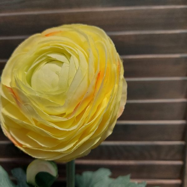 Ranonkel zijdenbloem in een zacht gele kleur, van het merk Mansion Atmosphere.