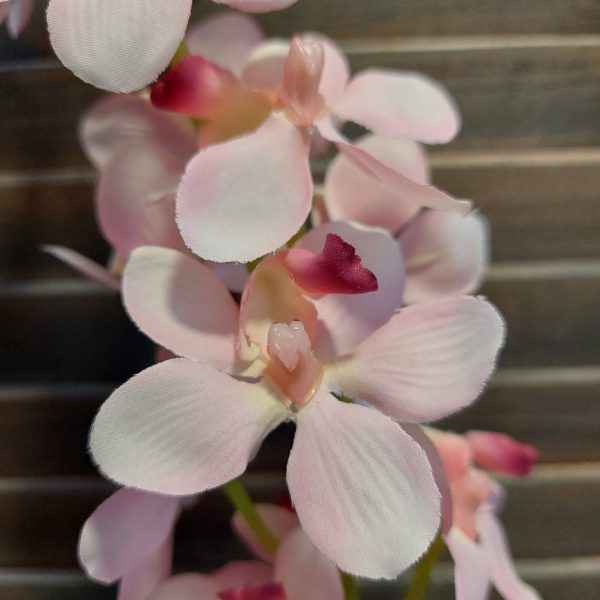 Tak met roze Orchidee bloemen van het merk Mansion Atmosphere.