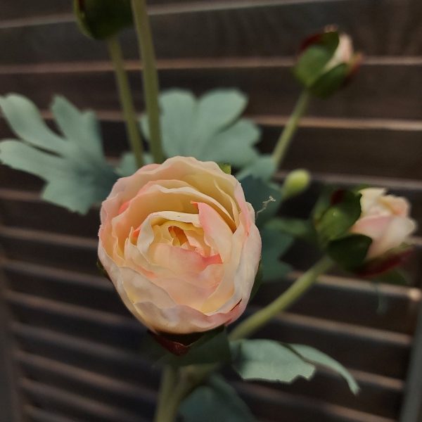 Ranonkel zijdenbloem in een zacht gele kleur, van het merk Mansion Atmosphere.
