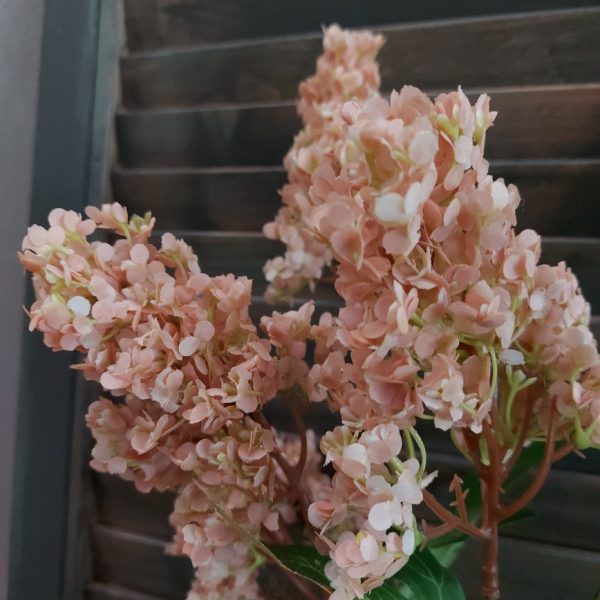 Pluimhortensia kunstbloem met 5 bloemtrossen in een zacht roze kleur, van het merk Brynxz.