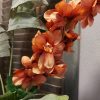 Compleet boeket zijden bloemen in vrolijke zomerkleuren. Exclusief verkrijgbaar bij Creatieve Decoraties Voor Jou.