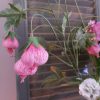 Compleet boeket zijden bloemen in frisse zomerkleuren. Exclusief verkrijgbaar bij Creatieve Decoraties voor Jou.