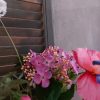 Compleet boeket zijden bloemen in frisse zomerkleuren. Exclusief verkrijgbaar bij Creatieve Decoraties voor Jou.