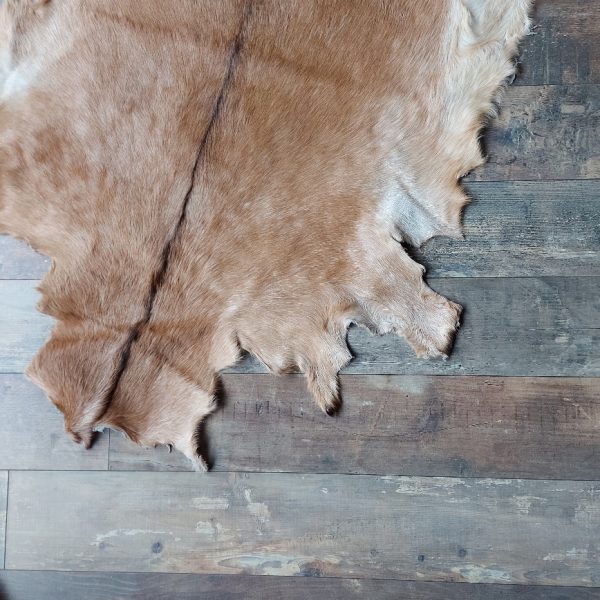 Decoratief geitenvacht in een licht bruine kleur, gemaakt van soepel leer een zacht geitenhaar.