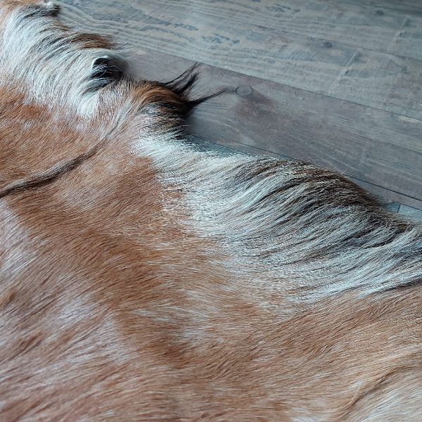 Decoratief geitenvacht in een licht bruine kleur, gemaakt van soepel leer een zacht geitenhaar.