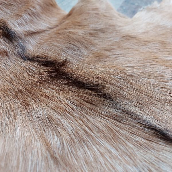 Decoratief geitenvacht in een licht bruine kleur, gemaakt van soepel leer een zacht geitenhaar.