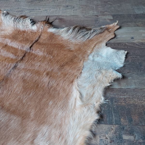 Decoratief geitenvacht in een licht bruine kleur, gemaakt van soepel leer een zacht geitenhaar.