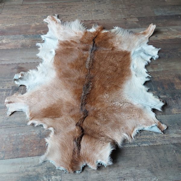 Decoratief geitenvacht in een licht bruine kleur, gemaakt van soepel leer een zacht geitenhaar.
