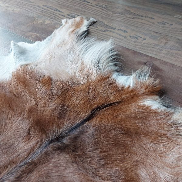 Decoratief geitenvacht in een licht bruine kleur, gemaakt van soepel leer een zacht geitenhaar.