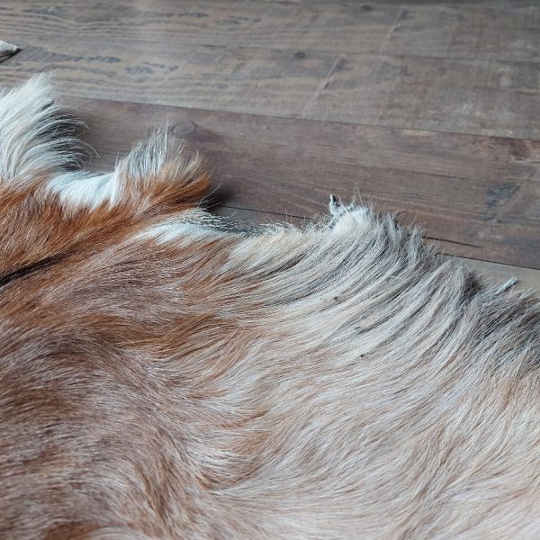 Decoratief geitenvacht in een licht bruine kleur, gemaakt van soepel leer een zacht geitenhaar.