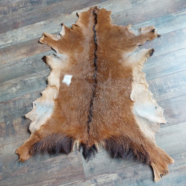 Decoratief geitenvacht in een bruine kleur, gemaakt van soepel leer een zacht geitenhaar.
