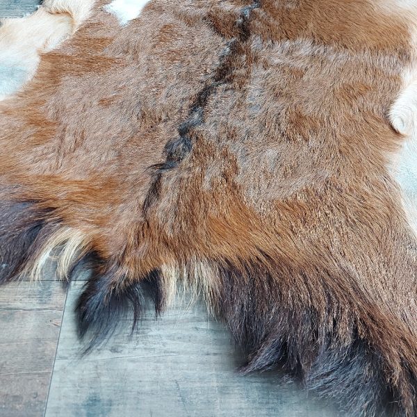Decoratief geitenvacht in een bruine kleur, gemaakt van soepel leer een zacht geitenhaar.