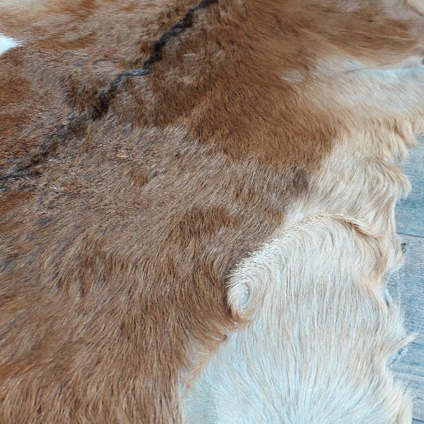 Decoratief geitenvacht in een bruine kleur, gemaakt van soepel leer een zacht geitenhaar.