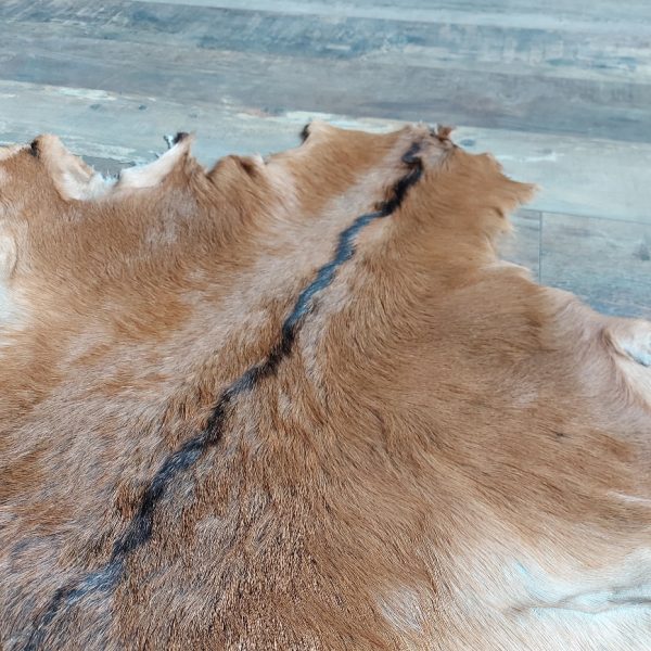 Decoratief geitenvacht in een bruine kleur, gemaakt van soepel leer een zacht geitenhaar.