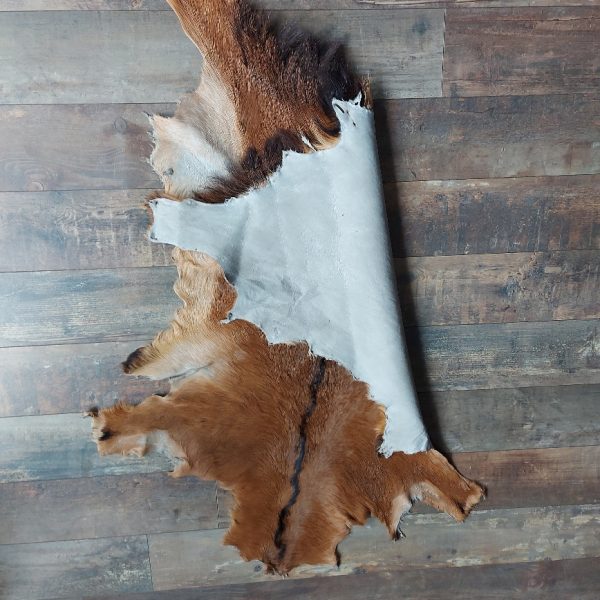 Decoratief geitenvacht in een bruine kleur, gemaakt van soepel leer een zacht geitenhaar.