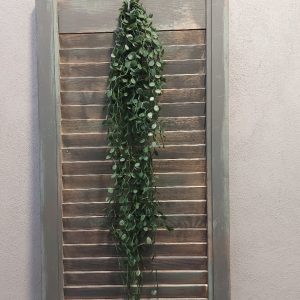 Meuhlenbeckia hangplant met donkergroene blaadjes en een lengte van ongeveer 80 cm, van het merk Brynxz.