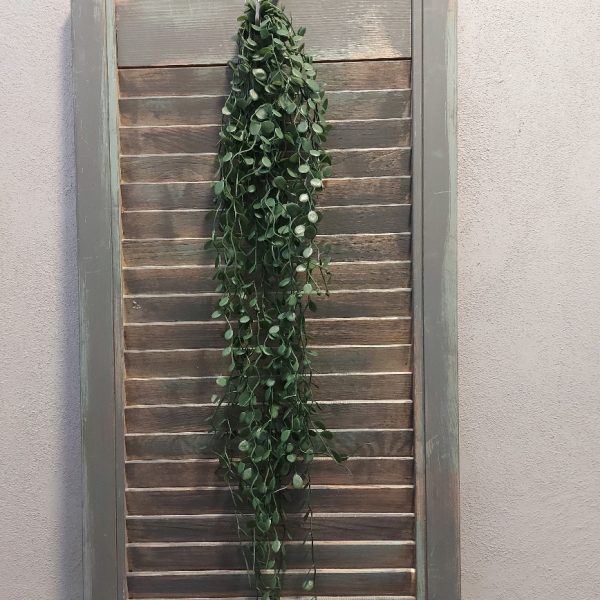Meuhlenbeckia hangplant met donkergroene blaadjes en een lengte van ongeveer 80 cm, van het merk Brynxz.