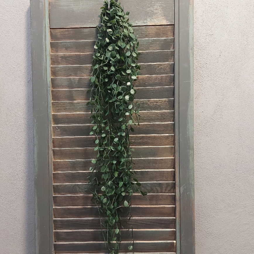 Meuhlenbeckia hangplant met donkergroene blaadjes en een lengte van ongeveer 80 cm, van het merk Brynxz.